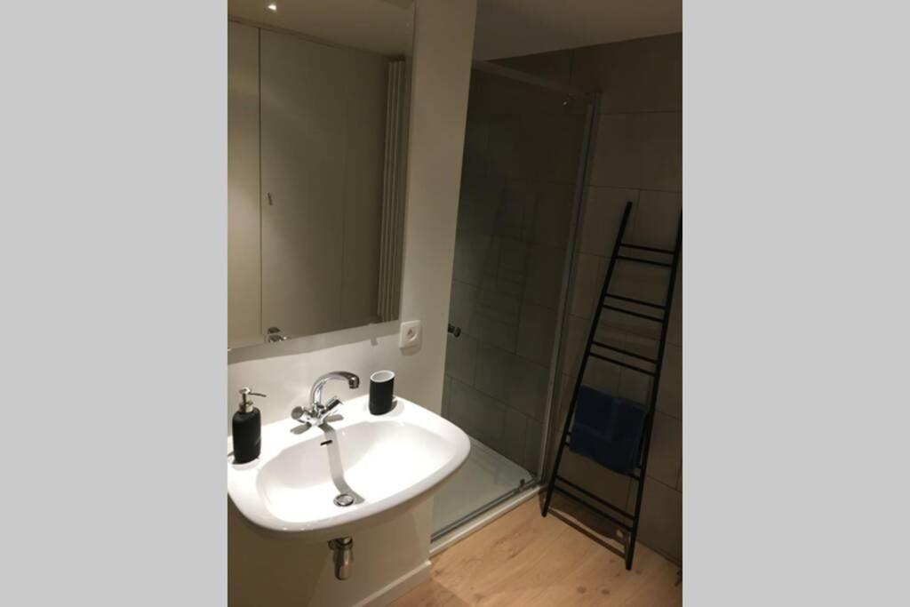 Studio2 Ename, Dakappartement In Vlaamse Ardennen Oudenaarde Dış mekan fotoğraf